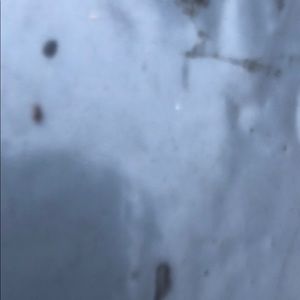 Meet your Posher, Jose